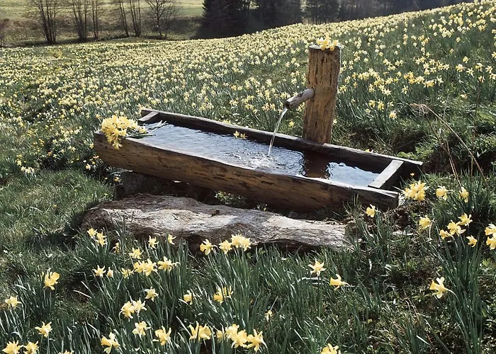 Le Grand Hotel&spa Hotel